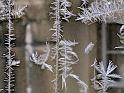 2013-01-25, Eisformen (3)